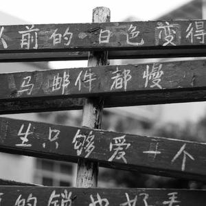 挑战一根大黑属
